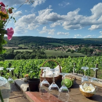 DEGUSTATION AU COEUR DES VIGNES - ROYER