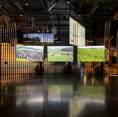 Parcours de visite - Cité des Climats et vins de Bourgogne Beaune