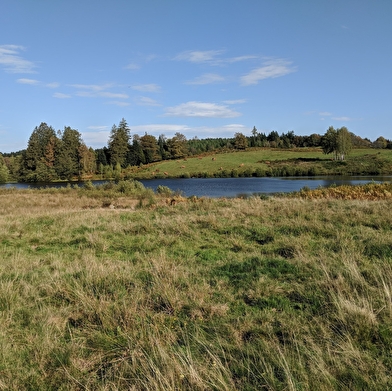 Le Plateau d'Esmoulières