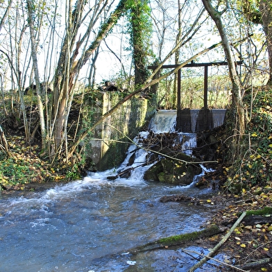 La Balade au cours de l'eau