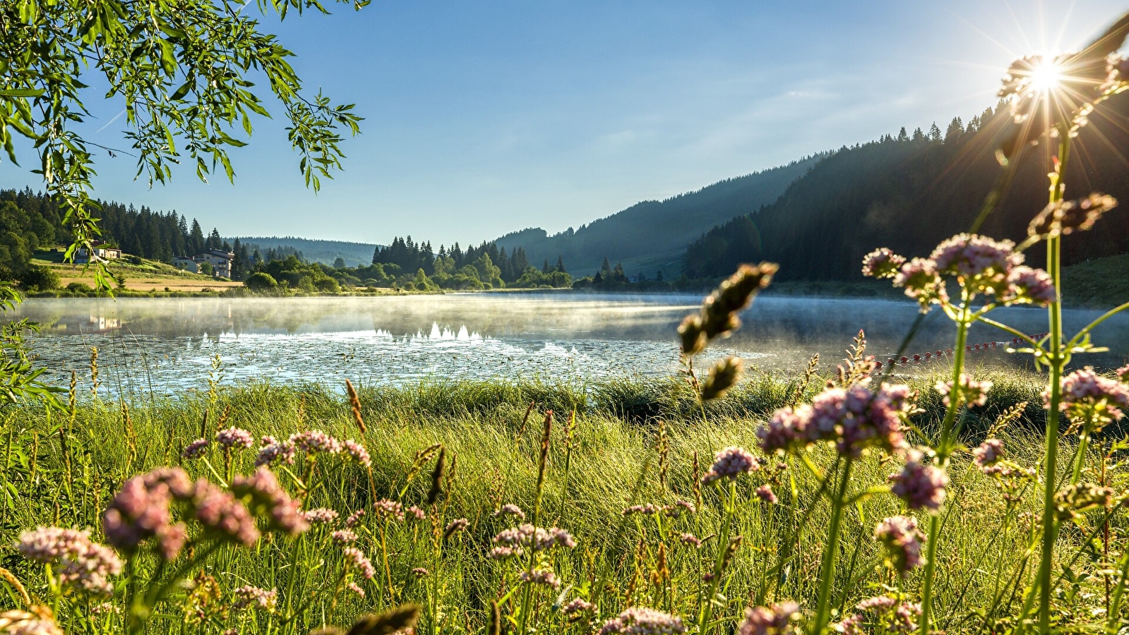 La Grande Traversée du Jura à pied - GTJ pédestre