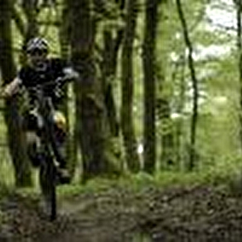 Espace VTT au Salbert - BELFORT