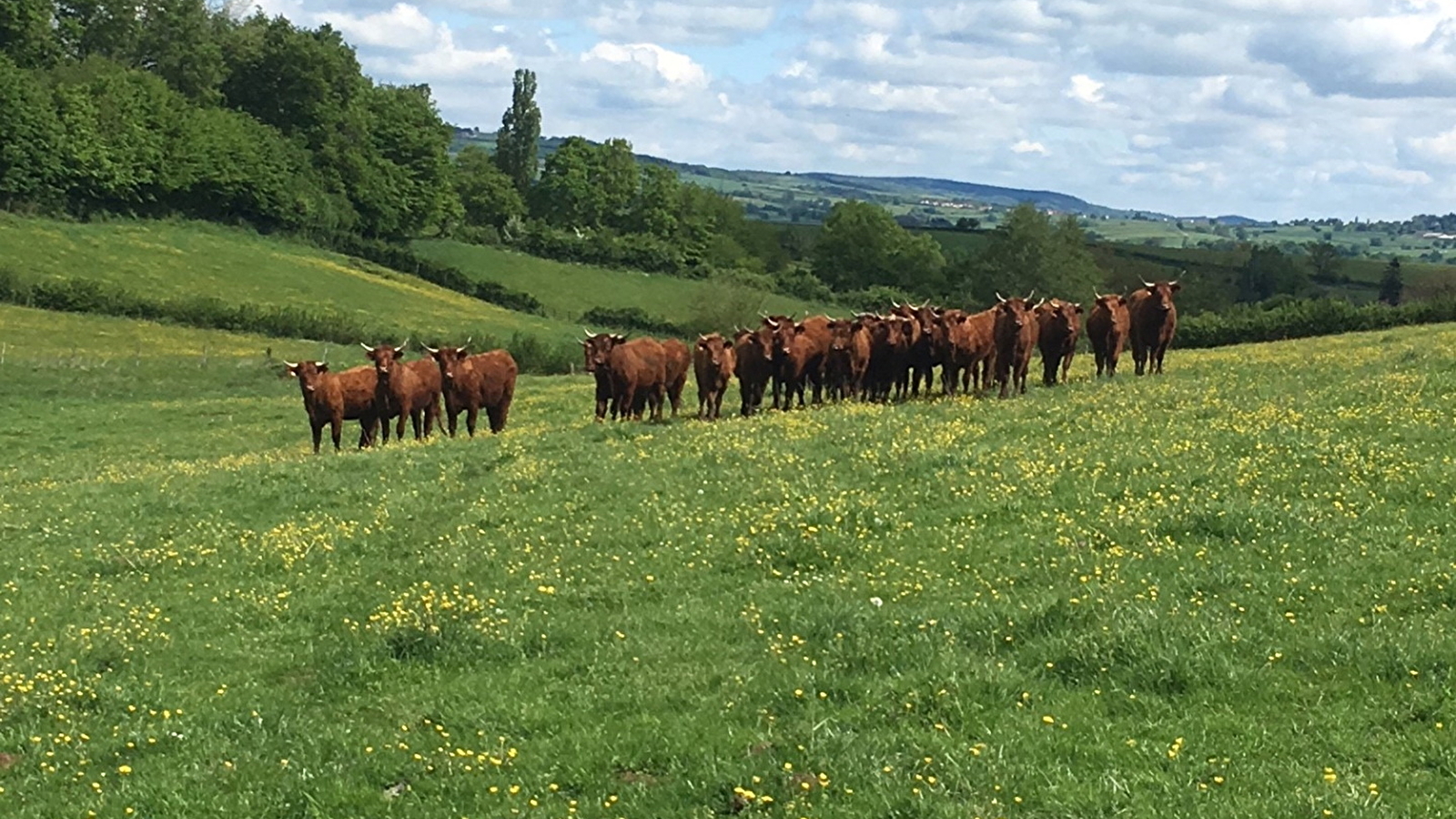 La ferme bio de la Grande Terre