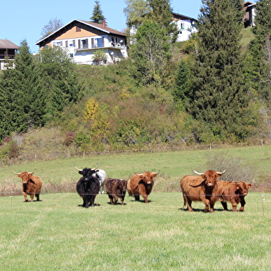 Ferme du Mont d'Or