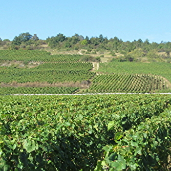 Desvignes - GIVRY