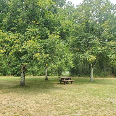 Randonnée - Autour de la Malapierre
