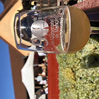 Fête des vendanges - Week-end vin doux - TOURNUS