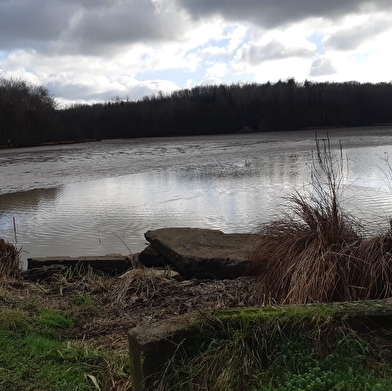 Etang des Baisses et ferme de Bévey