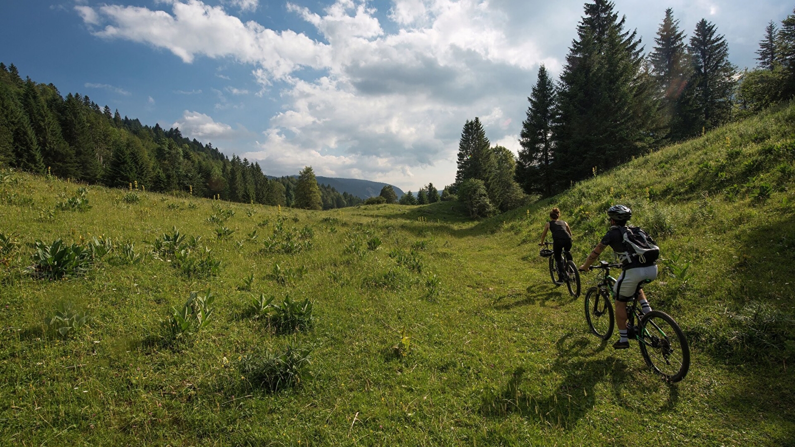 Parcours VTT 82 - bleu - Les Rochassons - Espace FFC Ain Forestière