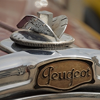 Rassemblement: 40 ans de la Peugeot 309 avec le club TU-XU Motors - SOCHAUX