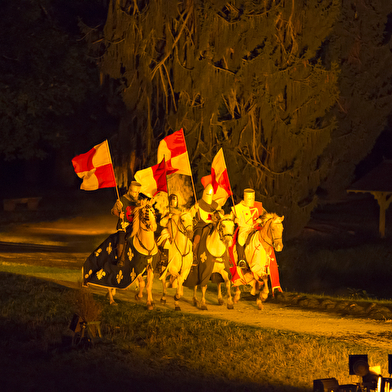 Spectacle Historique : 1 000 ans sous vos yeux !