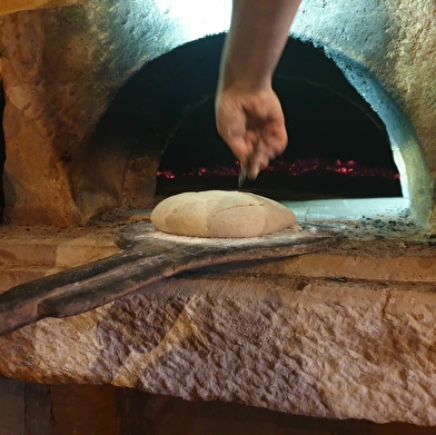 Le bon pain de la ferme