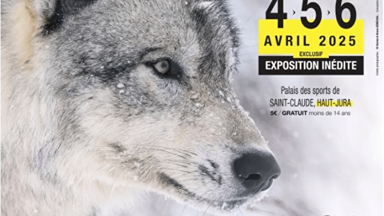 FINA - Festival Inter’Nature du Haut-Jura