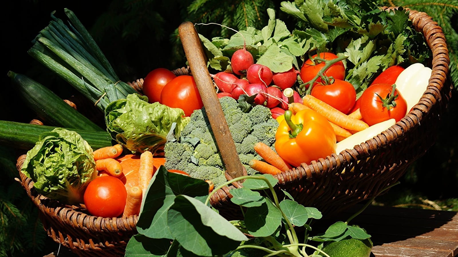 Marché hebdomadaire à Alligny-Cosne