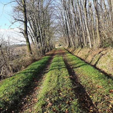 Sur les chemins de St Didier d'Aussiat