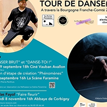 Tour de danse(s) - PIERRE-PERTHUIS