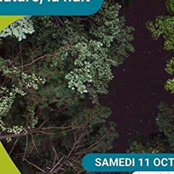 Sortie 'La Nature la nuit' - DONZY