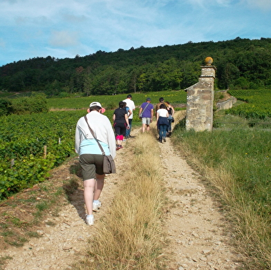 Visite guidée du Sentier de la Bossière