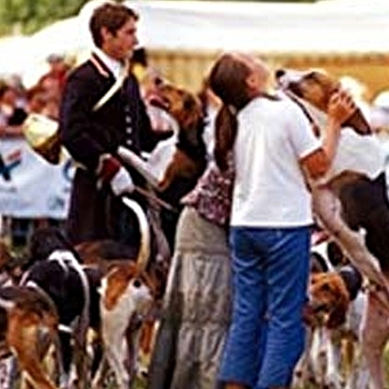 Salon Chasse et Nature en Bourgogne - SAINT-HONORE-LES-BAINS