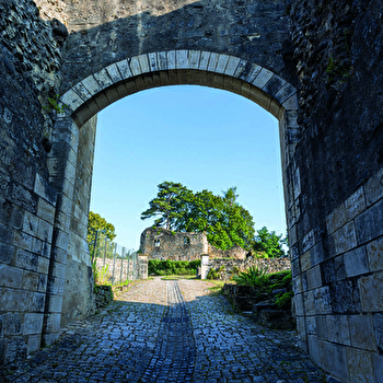 Visite historique de Moulins-Engilbert : le Vieux Château - MOULINS-ENGILBERT