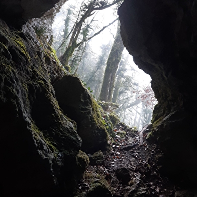 Mont Nivigne et Grotte à l'Ours
