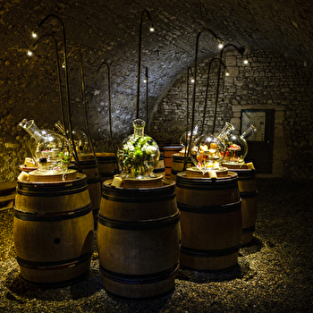Journées Européennes du Patrimoine - POUILLY-SUR-LOIRE