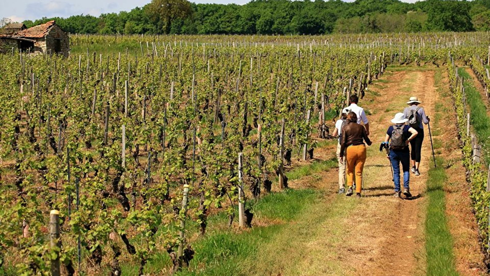 Le Chemin des Charmes