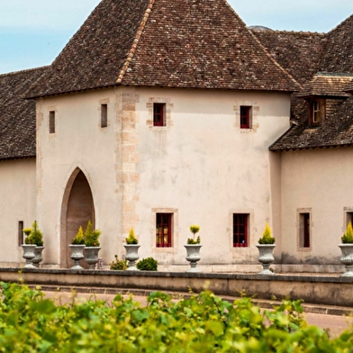 Dégustation Climat de Bourgogne au Château de Marsannay