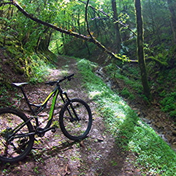 Circuit VTT n°4 (rouge) - Meillonnas-Treffort-Cuisiat - VAL-REVERMONT