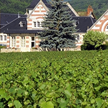 Escapade au Domaine Henri de Villamont - SAVIGNY-LES-BEAUNE