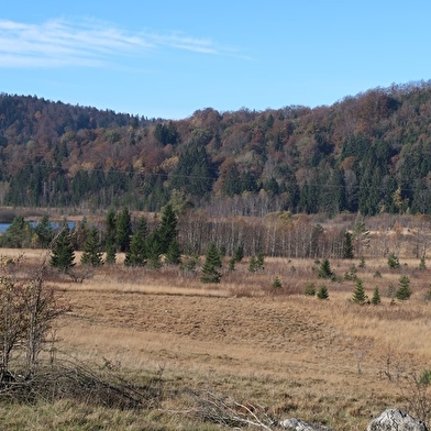 Lac de Viry