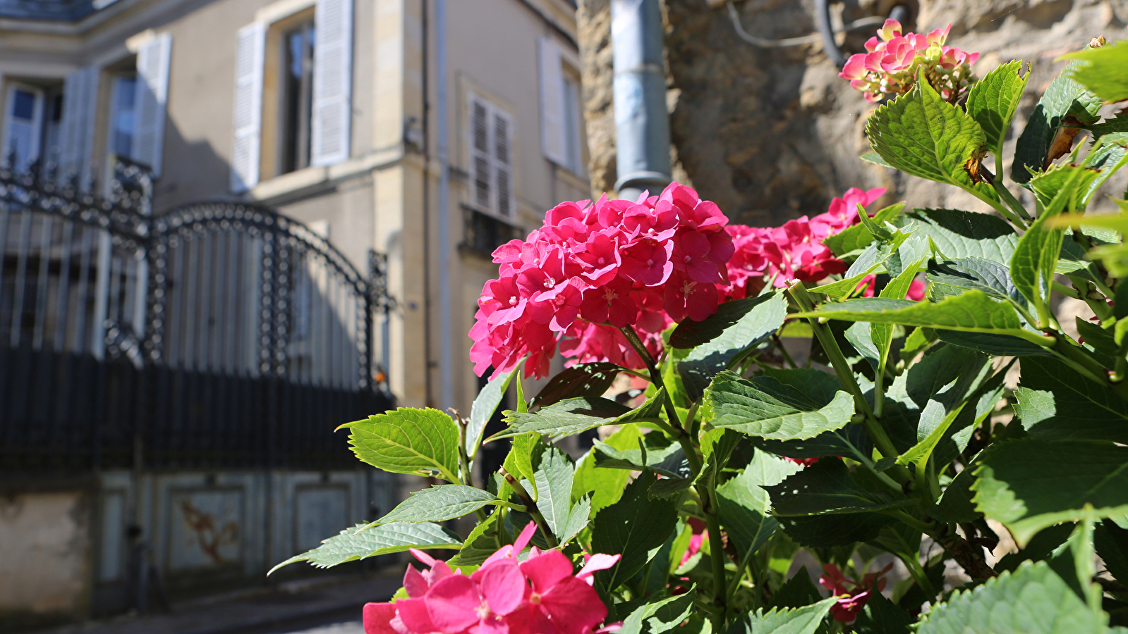 Visites guidées de Nevers en couleurs : Les Couleurs, c'est la Ville 