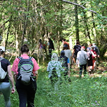 Super Rando au Parc national de forêts - ROCHEFORT-SUR-BREVON