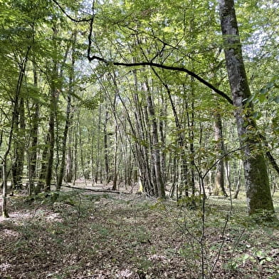 Aux Grands Garreaux 