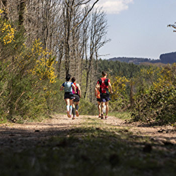 Circuit de Trail: Boucle n°1 de Lormes - LORMES