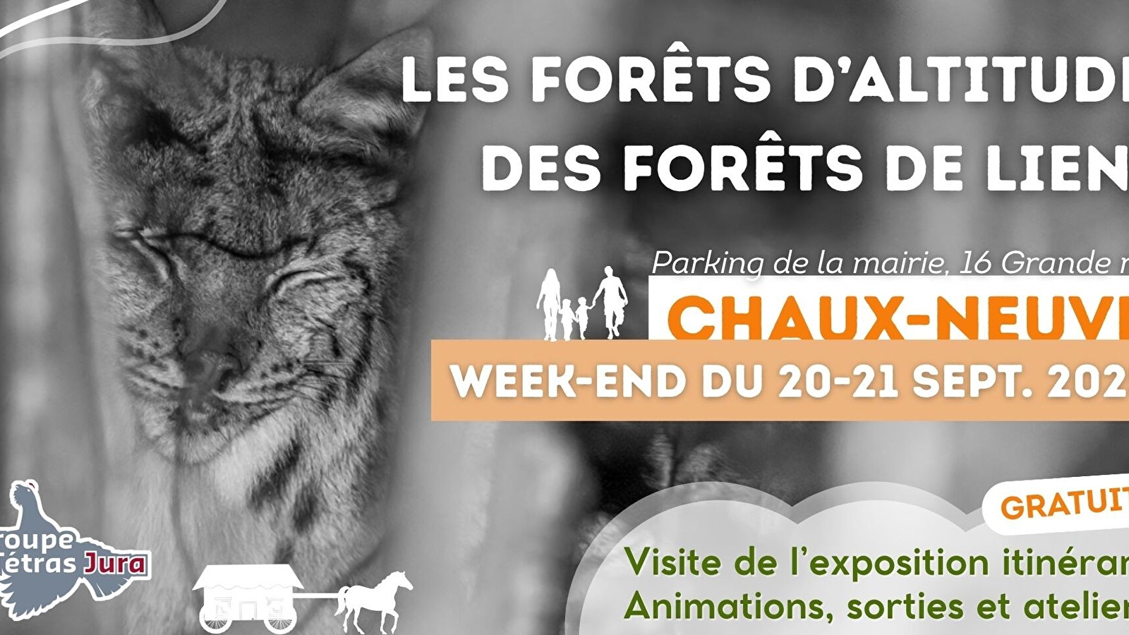 Exposition et animations · Les forêts d'altitude, des forêts de liens
