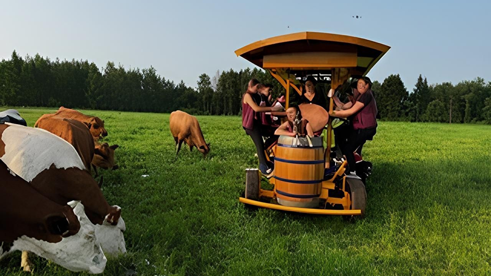 La Ferme du Rondeau à Vélo c’est rigolo !