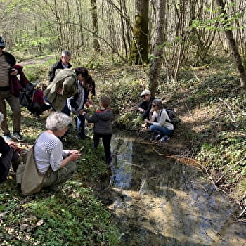 Sortie nature : Éloge de la biodiversité forestière en nocturne - SAINT-BONNOT