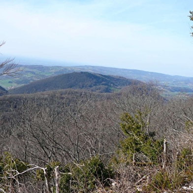 Le Mont Nivigne