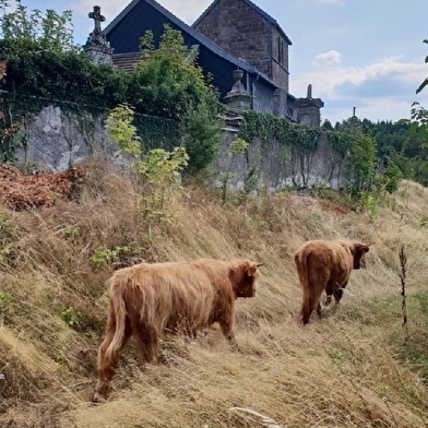 La Montagne Saint-Martin