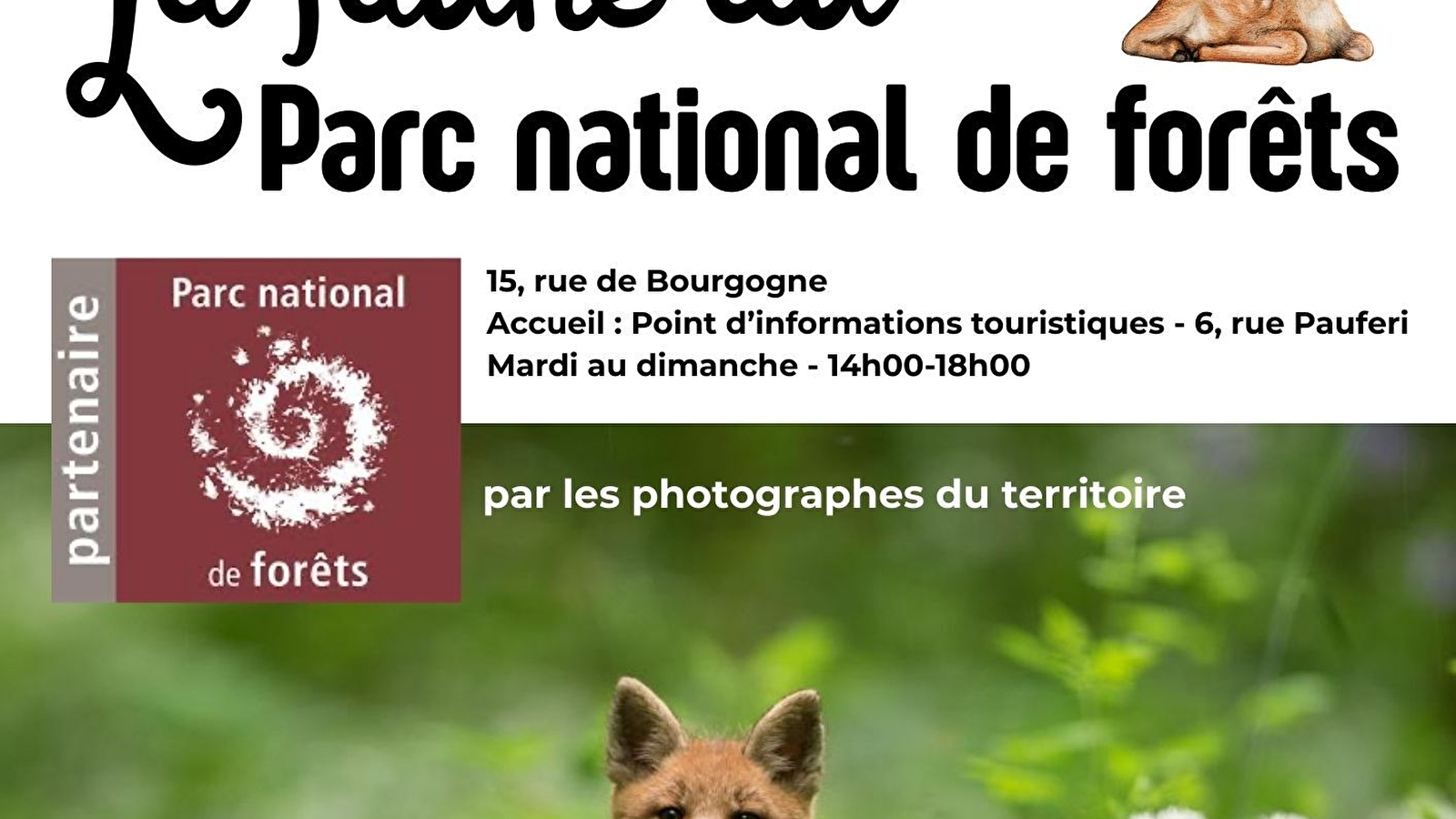Exposition sur la faune du Parc national de forêts