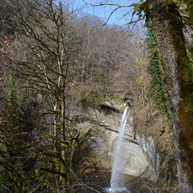 Au fil de la Dorche sauvage - sentier thématique pédestre