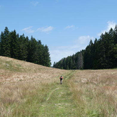 Circuit VTTAE - À la découverte du Haut Jura - La Borne au Lion