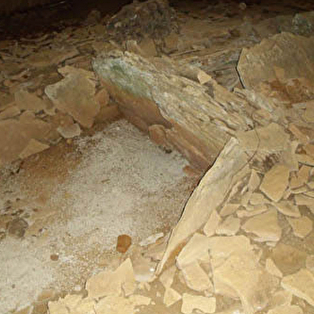 Dolmen d'aillevans - AILLEVANS