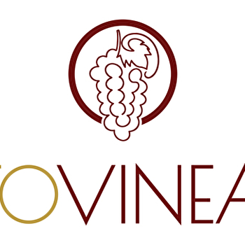 Visite guidée au Domaine Vincent Royet - COUCHES