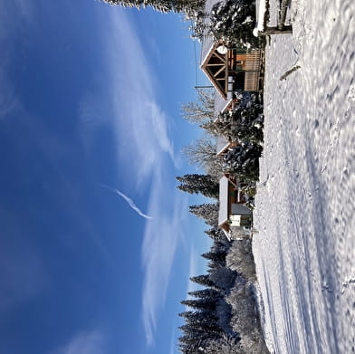 Chalet le Hêtre - La Favière