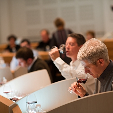 L'Ecole des Vins de Bourgogne