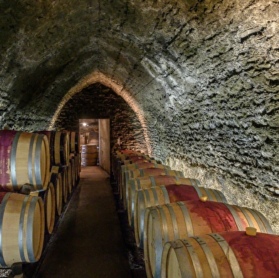 Domaine du Château d'Etroyes