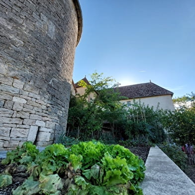 Visite guidée de Gy