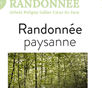 Randonnée paysanne - AUMONT